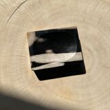 Symmetrical multicolored petrified wood soap dish