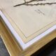 Lot de 6 planches herbier de 1950