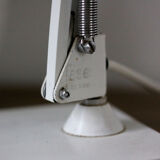 Fase articulated lamp