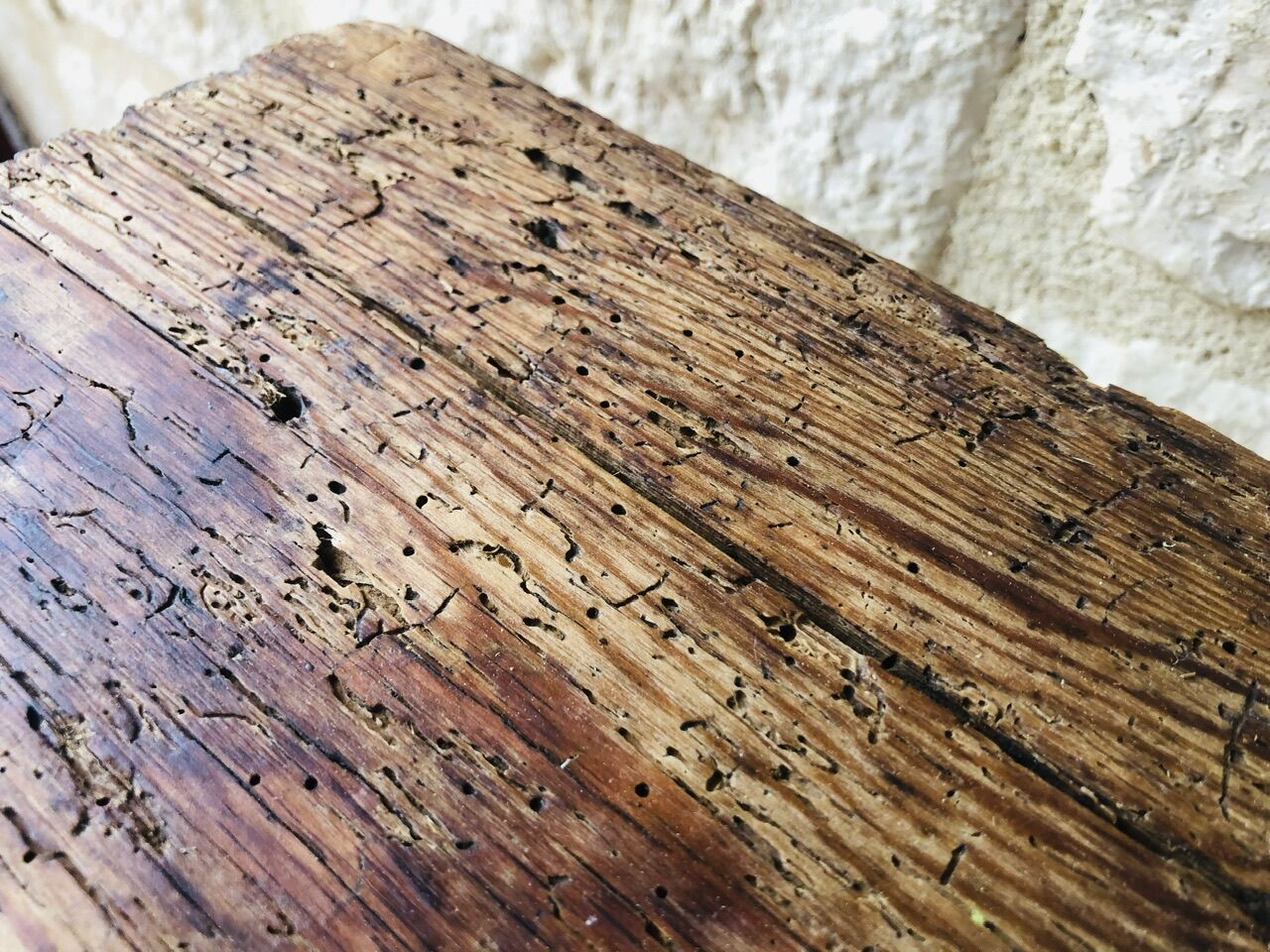 Oak farmhouse bench, circa 40's /50's
