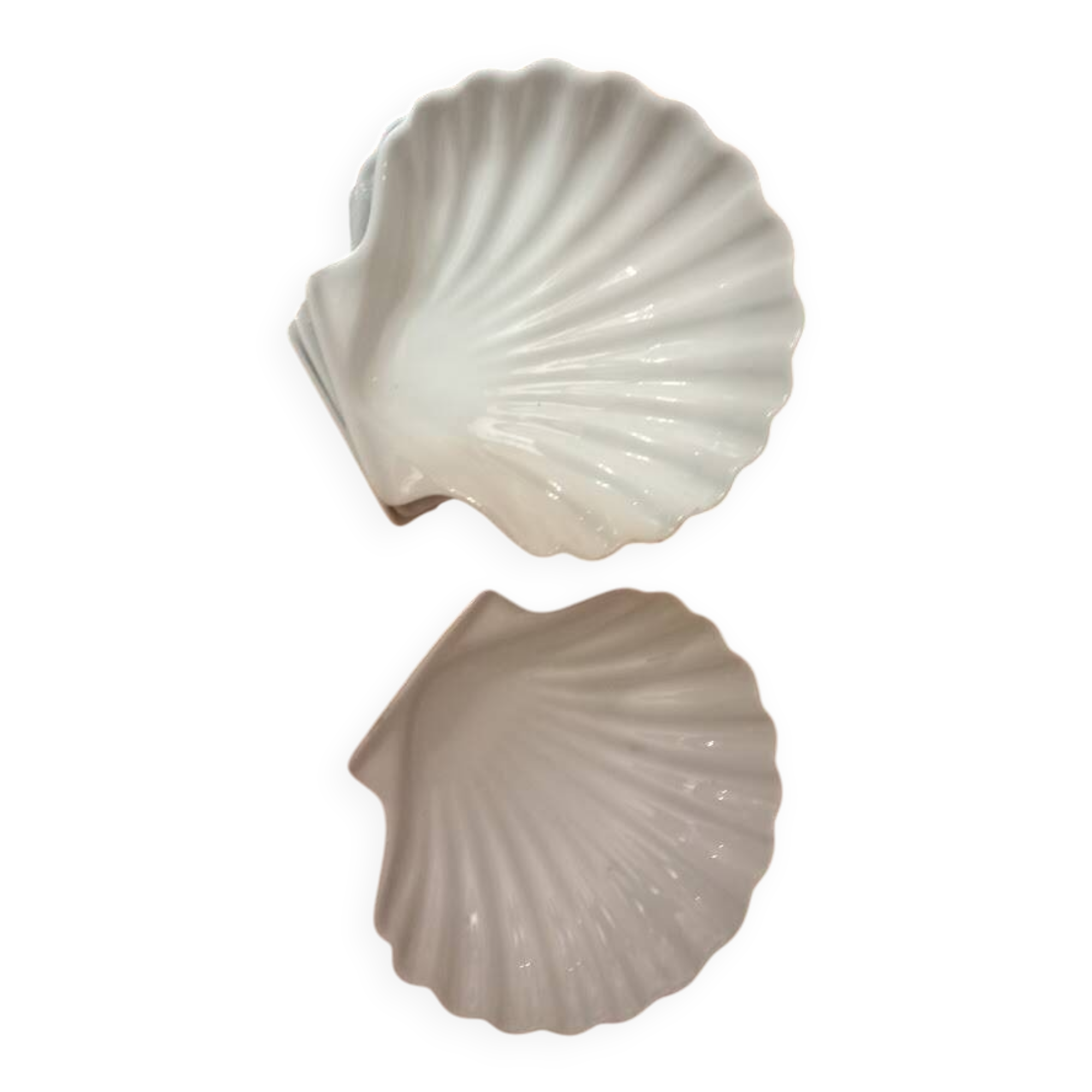 4 scallop shell plates