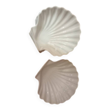 4 scallop shell plates
