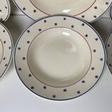 Iron earth soup plates
