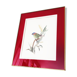 Frame
