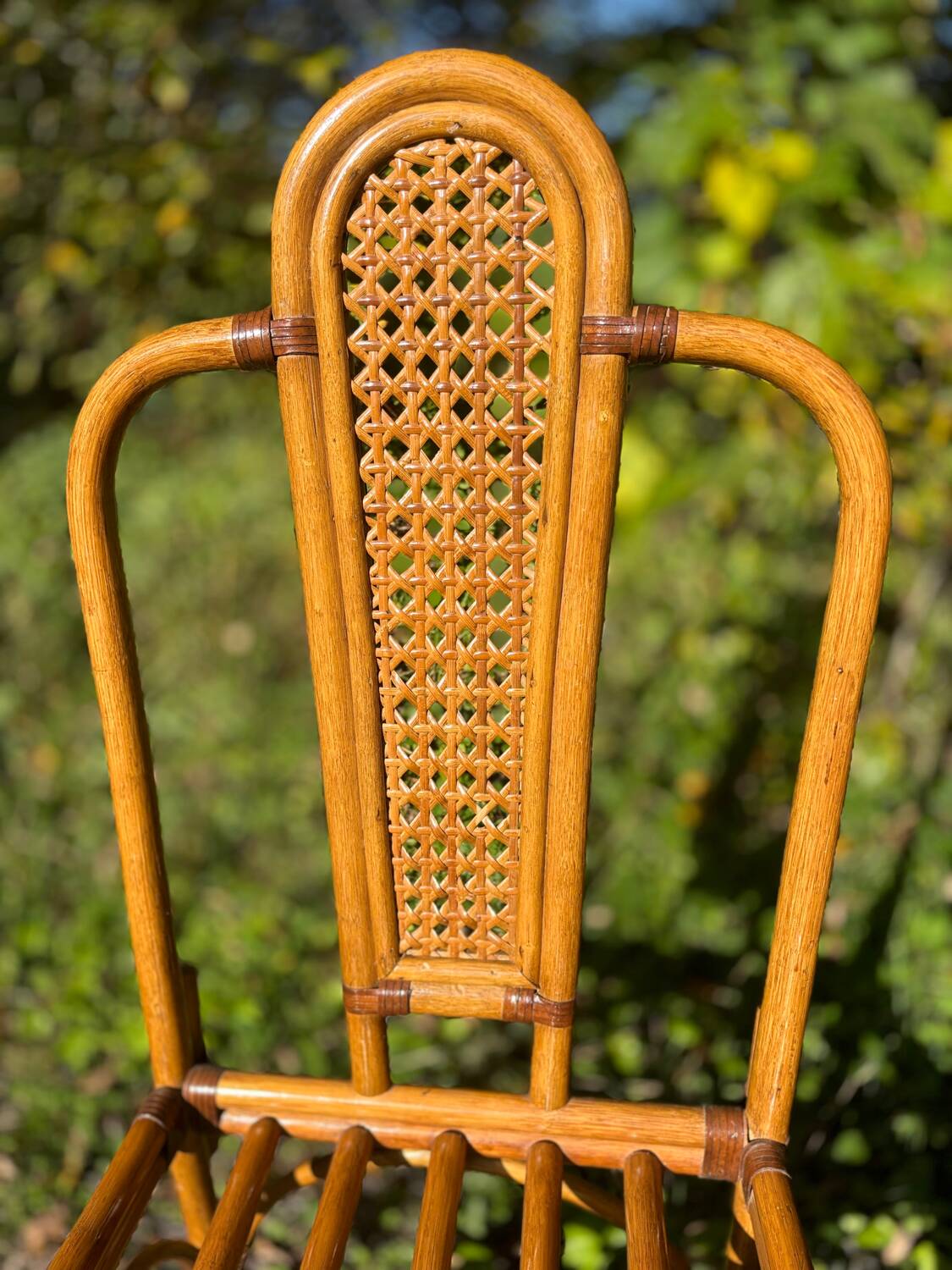Set of two cane and rattan chairs