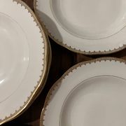 Set of 11 soup plates - Pommier Dureil 72 - L'Étoile Porcelain