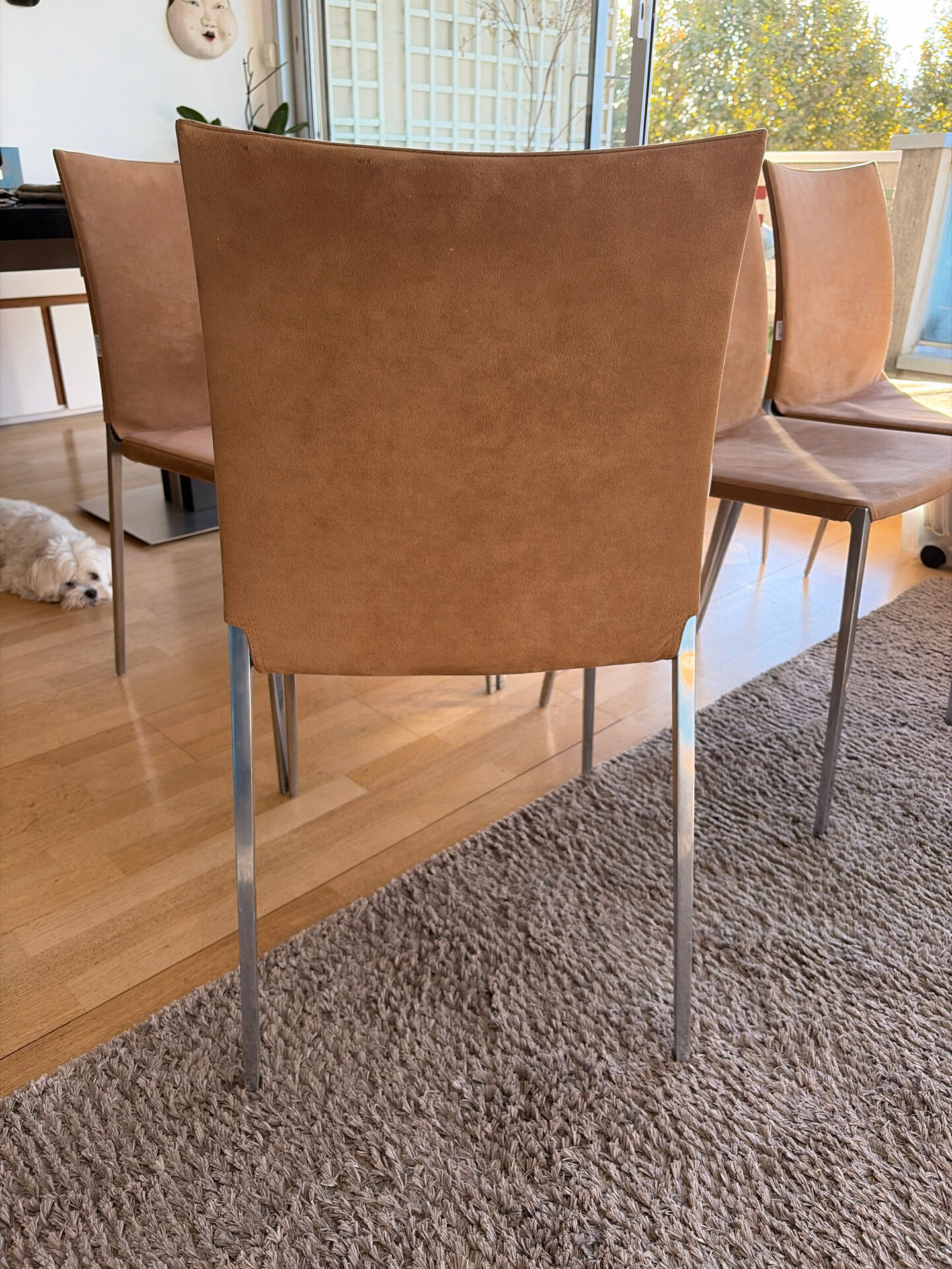 Chaises Zanotta alcanthara