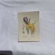 🌿 Botanical Plate Old Naturalist Engraving 19th Century Double-Sided A