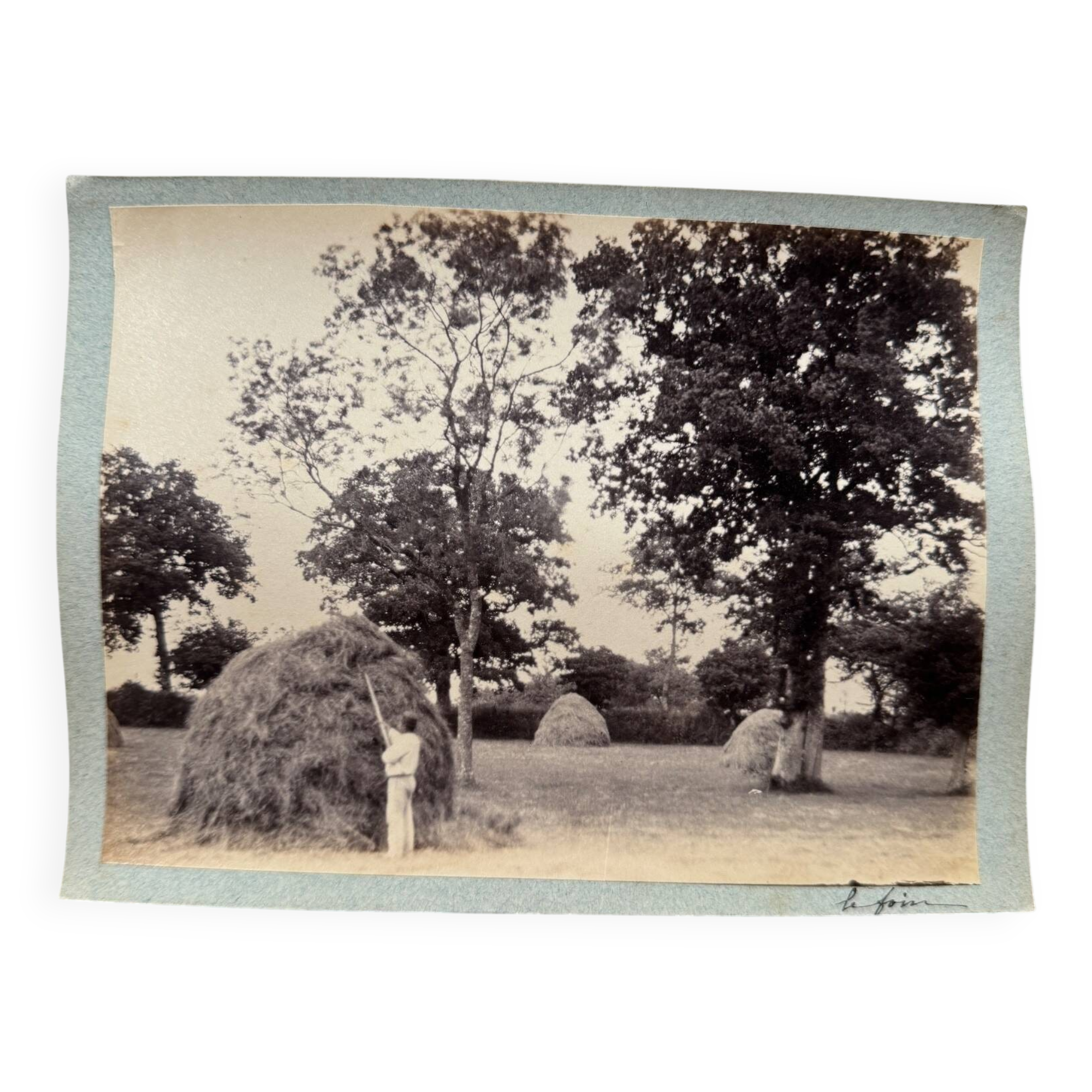 Photo album mounted on cardboard depicting haymaking in the 19th century.