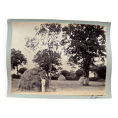 Photo album mounted on cardboard depicting haymaking in the 19th century.
