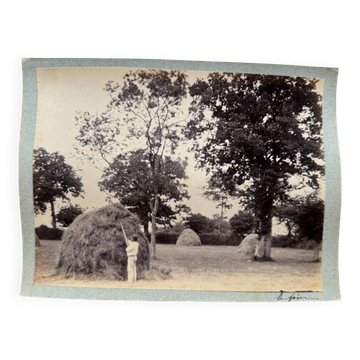Photo album mounted on cardboard depicting haymaking in the 19th century.