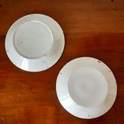 Pair of chatty earthenware plates 19th century