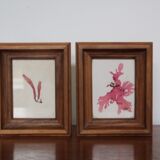 True alguier in walnut frame France 1960