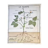 Rossignol pedagogical poster