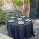 6 oyster plates