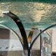 Paire de tables basses rondes, verre, ca 1970