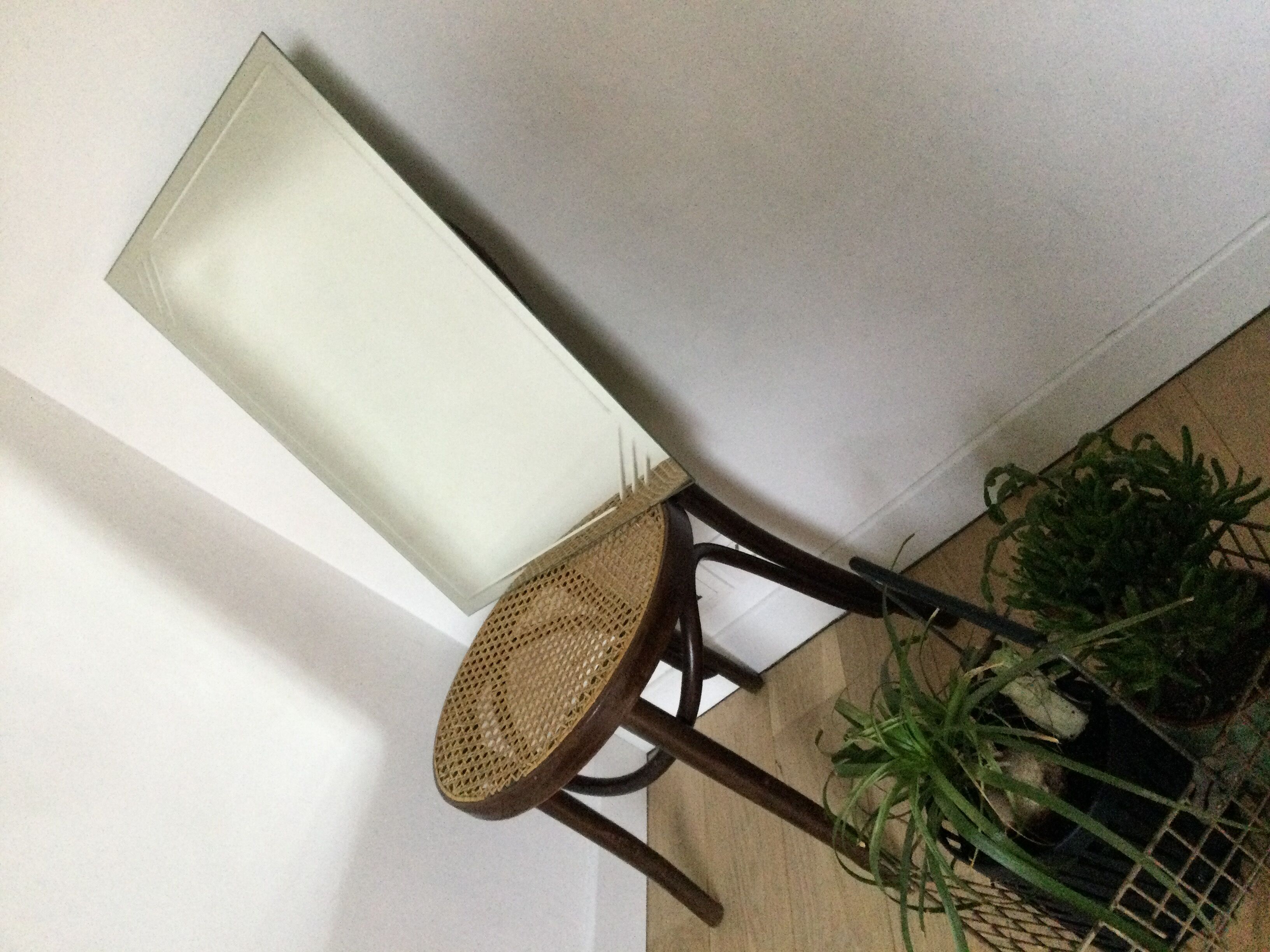 Bevelled vintage mirror  45x60cm