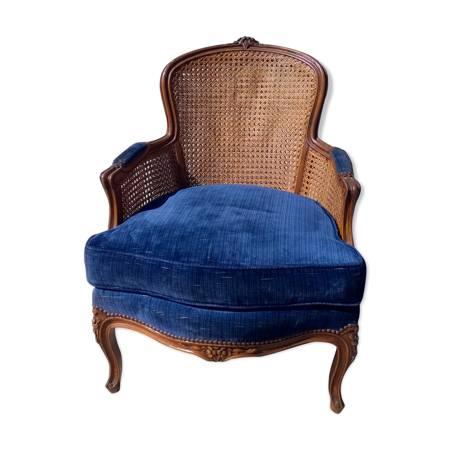 Shepherdess Louis CV cannée