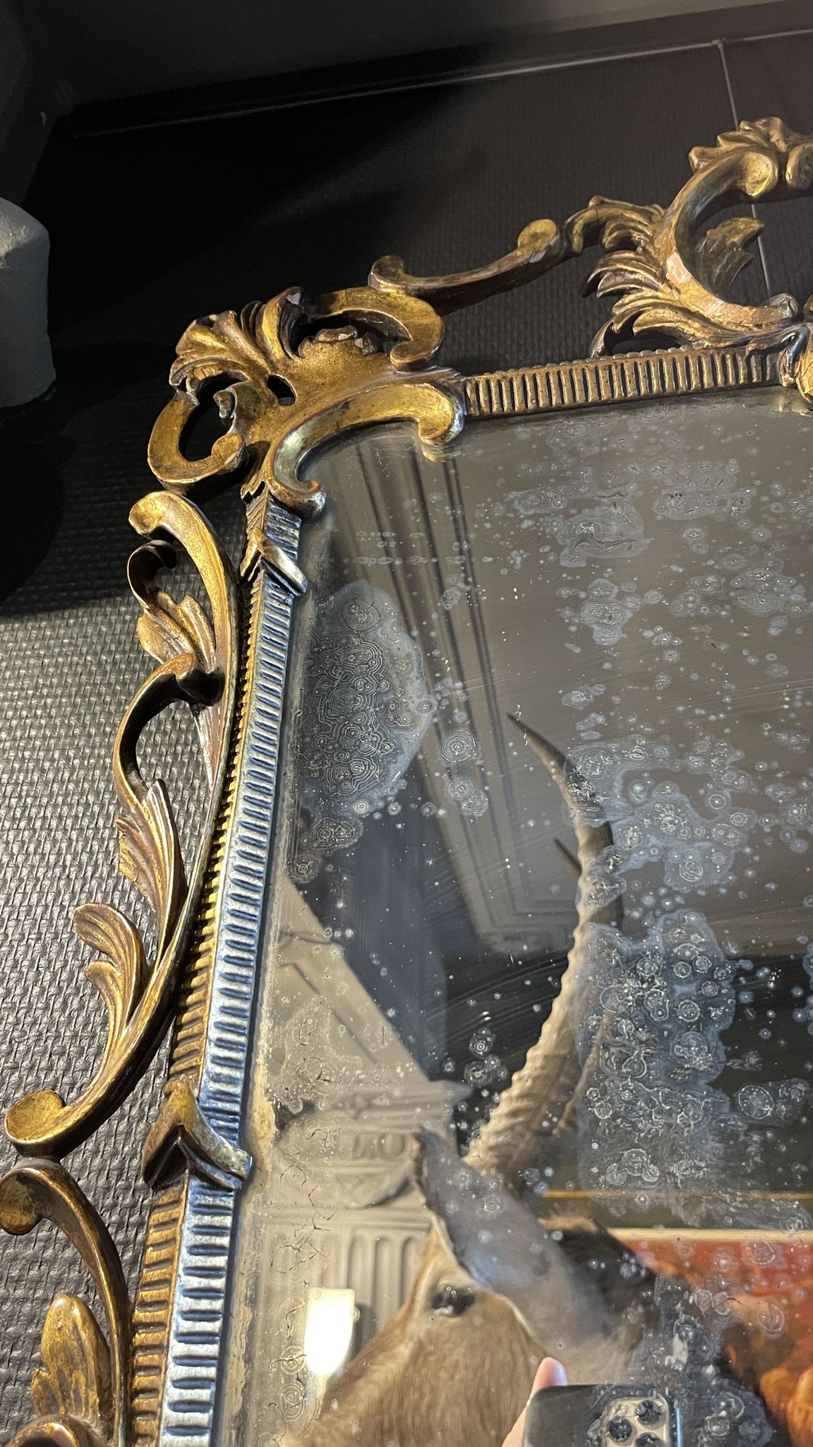 Gilded mirror Louis XV Rocaille in Carved and Stuqué Wood, nineteenth century
