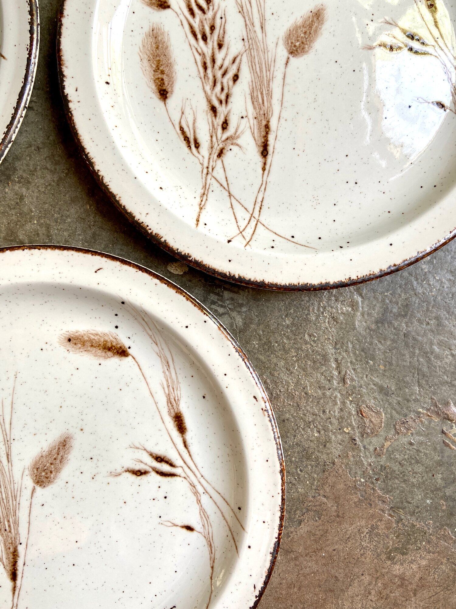 4 flat plates Midwinter in glazed stoneware, service "Wild oats"