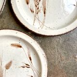 4 flat plates Midwinter in glazed stoneware, service "Wild oats"