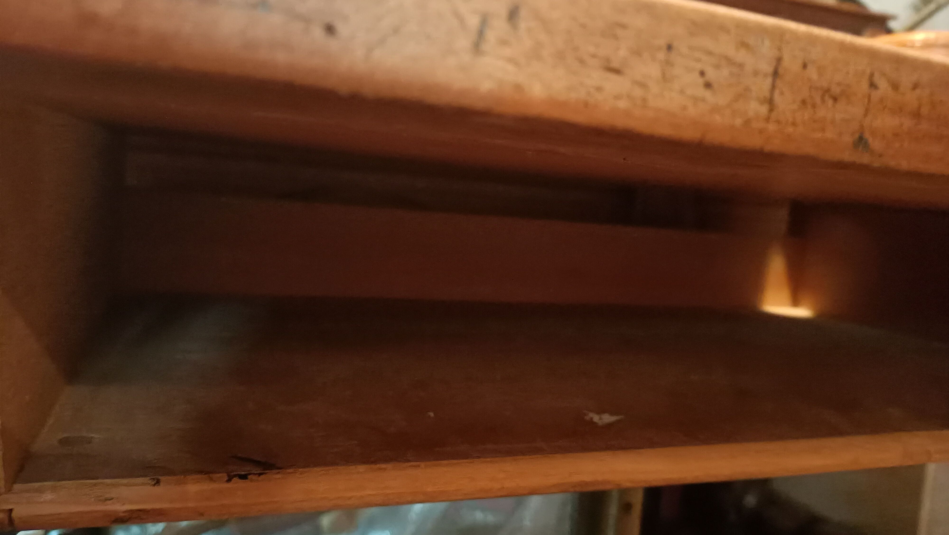 School office year 50