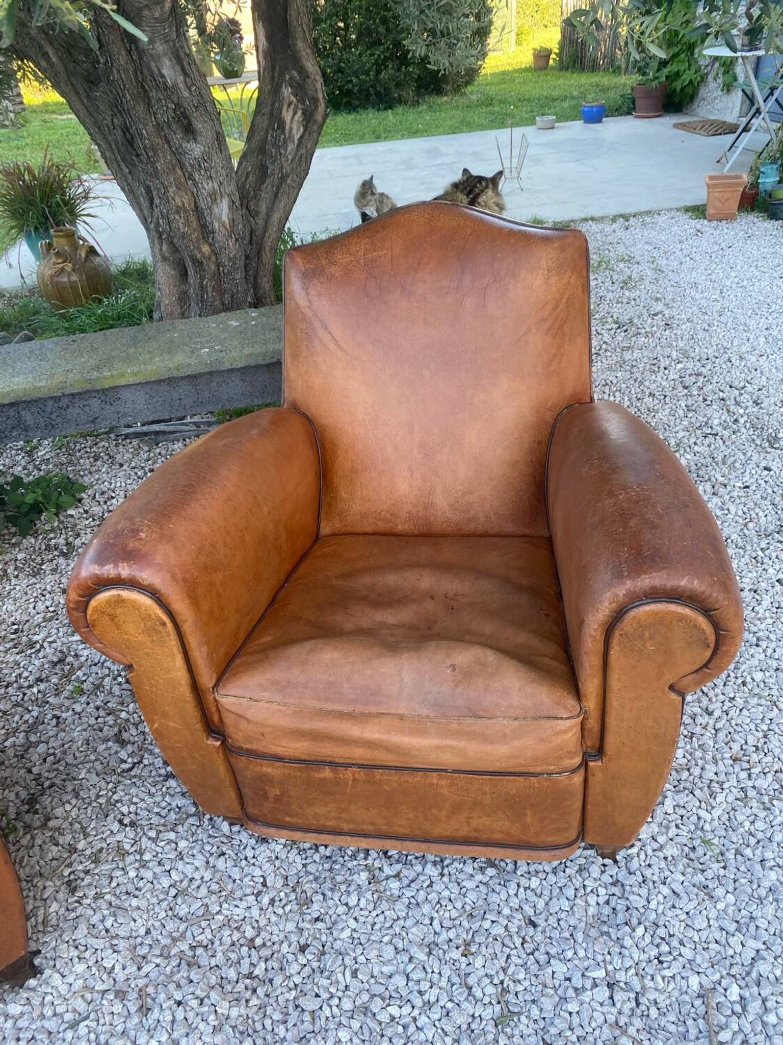 Paire de fauteuils club
