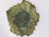 Clay leaf cutter – Art Pottery of the Sorgue