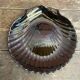 Set of 10 ARCOROC Shell-Shaped Plates Black Opaline 1970s