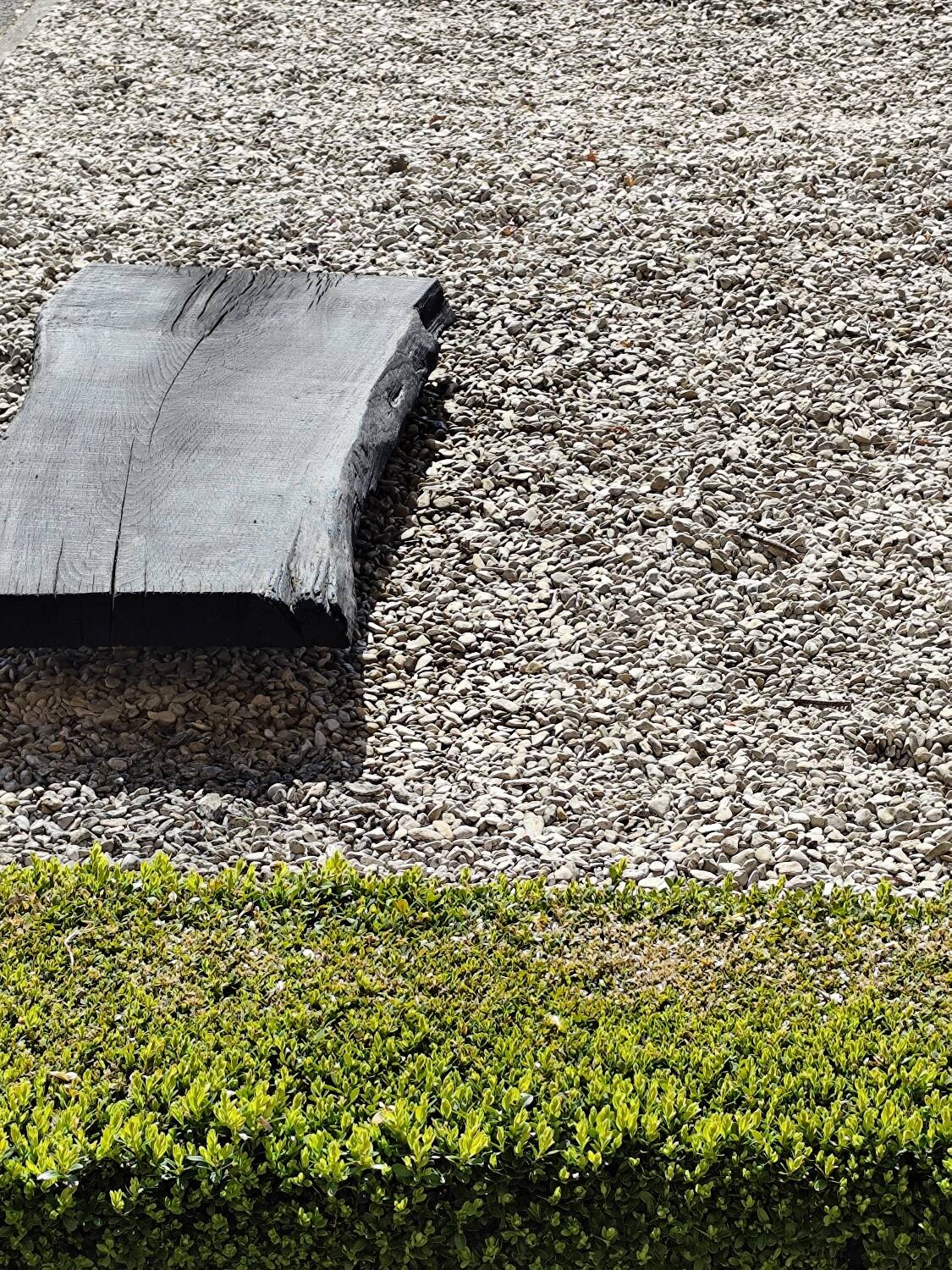 Wabi sabi burnt wood coffee table