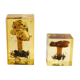 2 inclusions resin Mushrooms