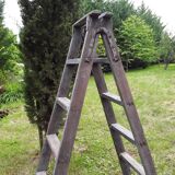 Painter ladder, stepladder