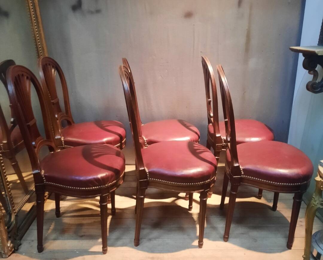 Serie de 6 chaises néo classique  du dix-neuvieme sciecle