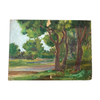 Ancient landscape oil