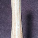 Gooseneck vase flammé green and brown sandstone Vallauris