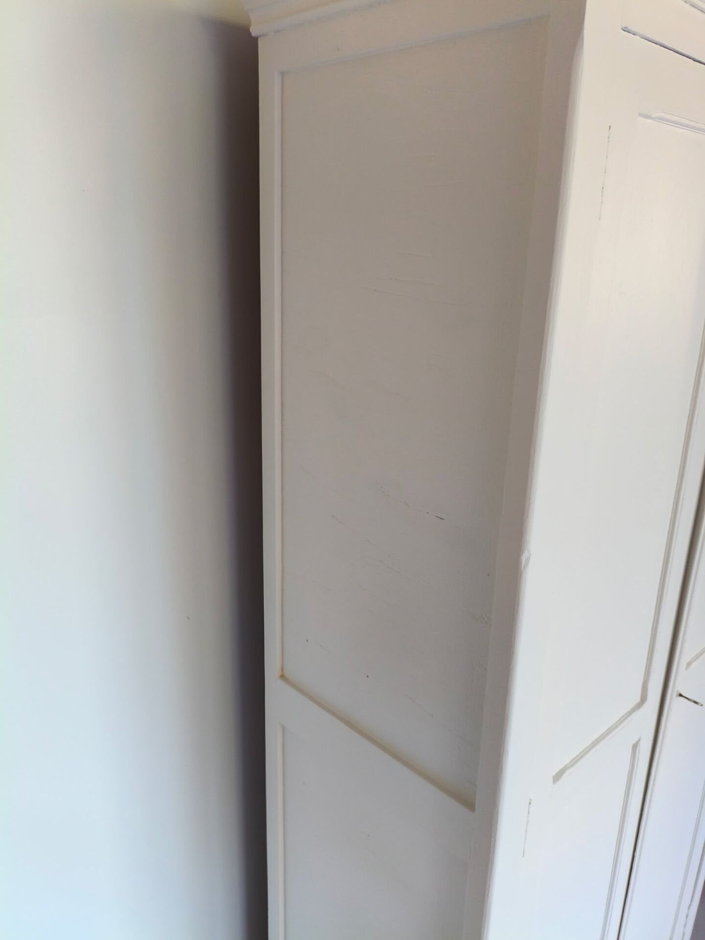 Authentique armoire parisienne 