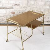 Vintage vinyl holder trolley
