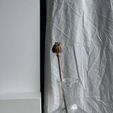 Large blown glass carafe with ice cube compartment Biot