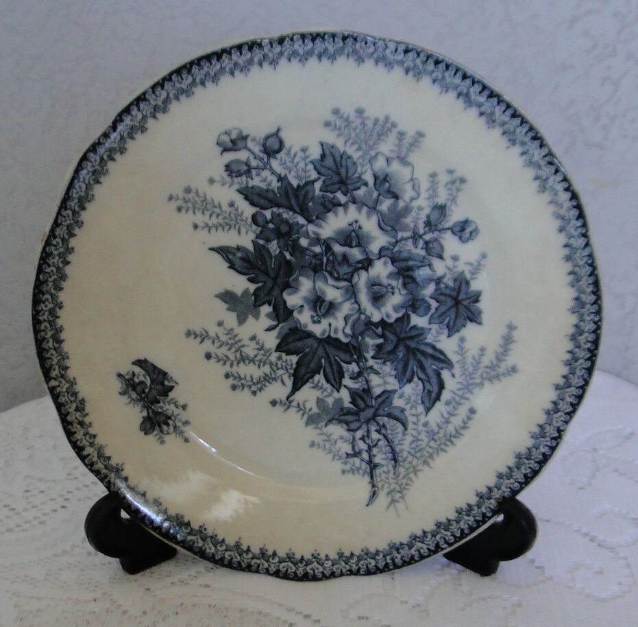 Plate old faience onnaing model eglantine blue decoration