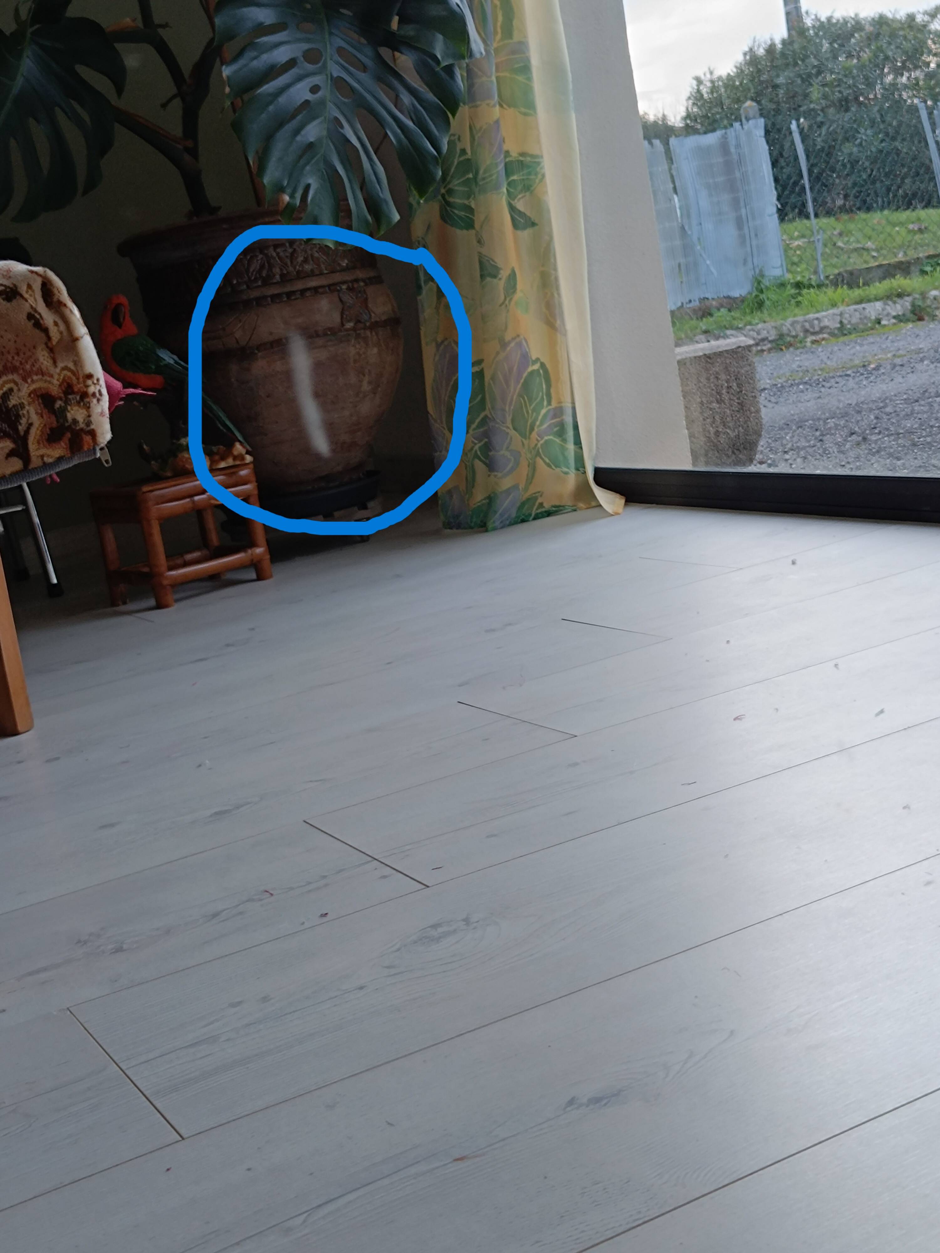 Gilded mirror with a Louis Philippe style pediment