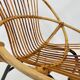 Fauteuil vintage en rotin par Dirk van Sliedregt Rohe Noordwolde 1960 aux Pays-Bas