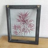 Frame dried flowers