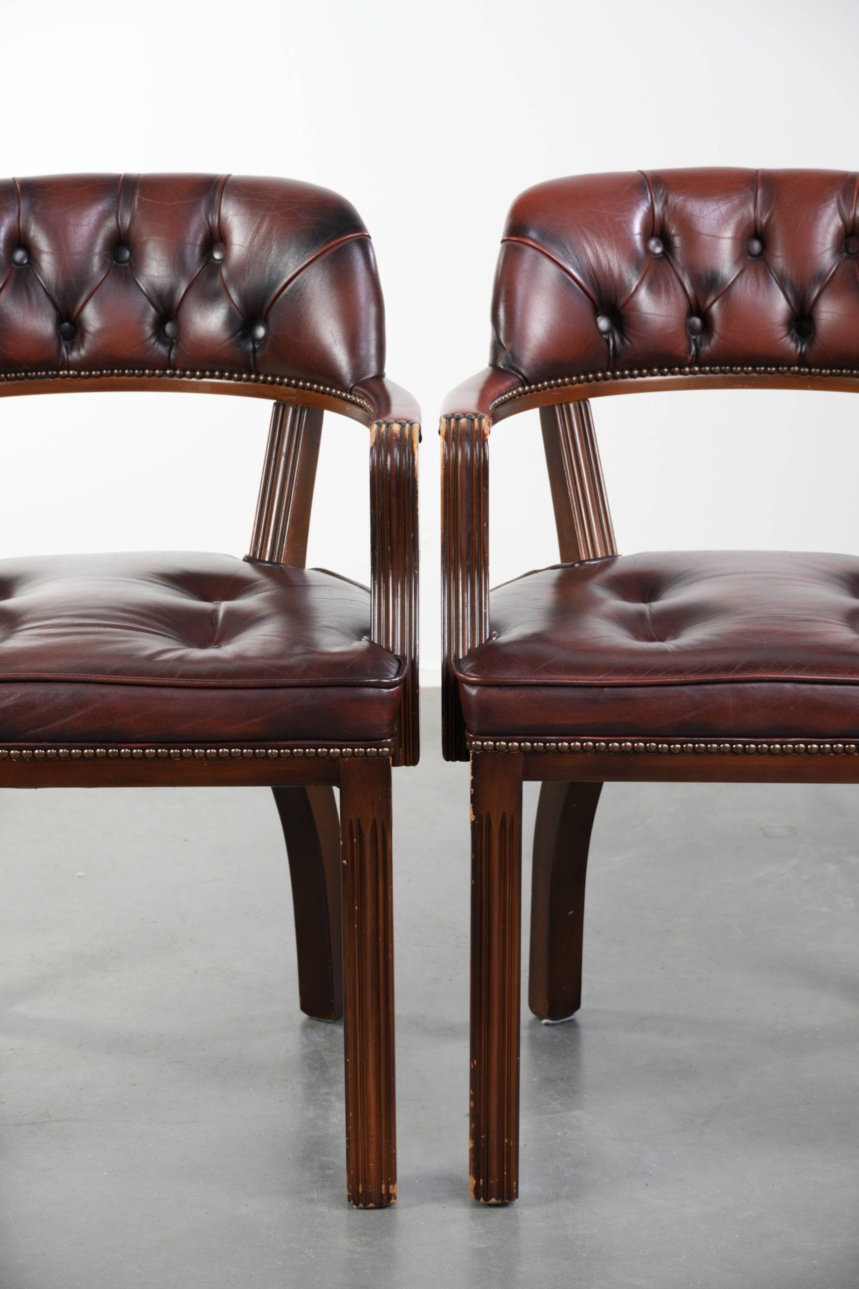 Set of two brown cowhide leather Chesterfield dining chairs