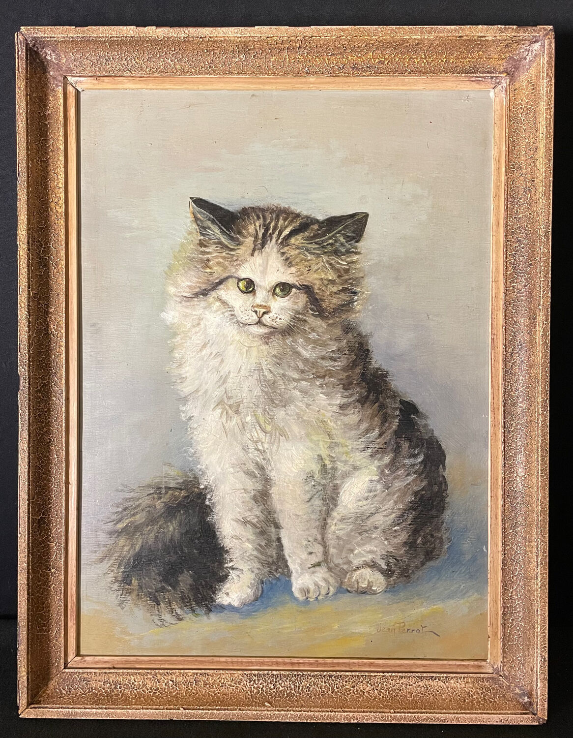 Cat portrait