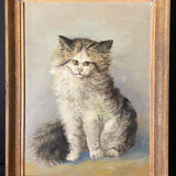 Cat portrait