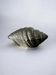 Shell jewellery box, silver plated, Italy, 1970s