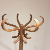 Porte manteau perroquet