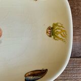 Gien shellfish dish