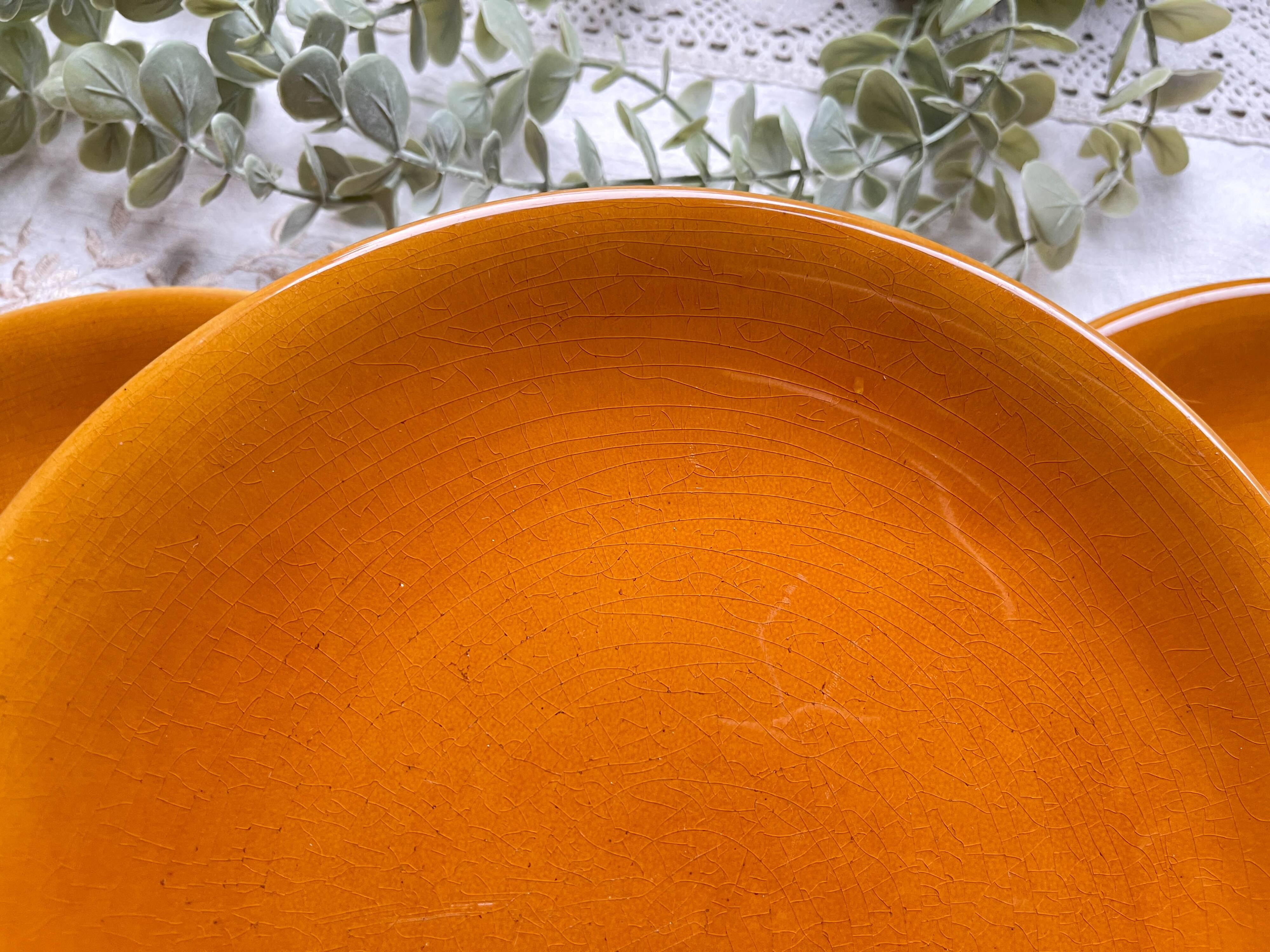 6 Vintage Longchamp amber earthenware plates, France 1970