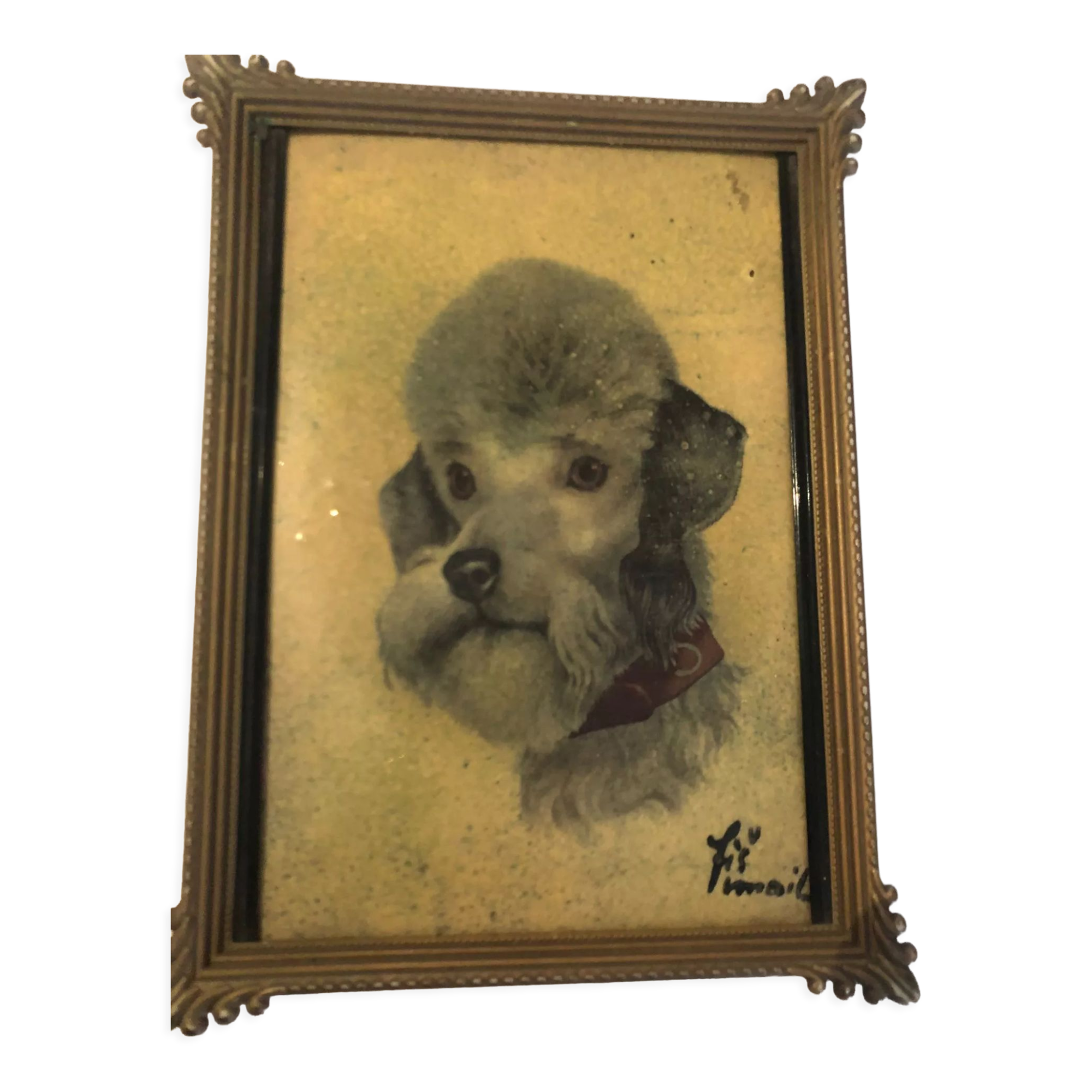 Protrait English poodle enamel on copper